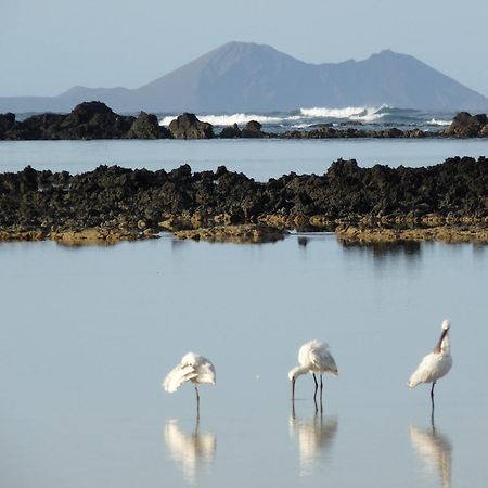 Casa Ana Y El Mar - Para Enamorados Del Mar - Lanzarote テギセ エクステリア 写真