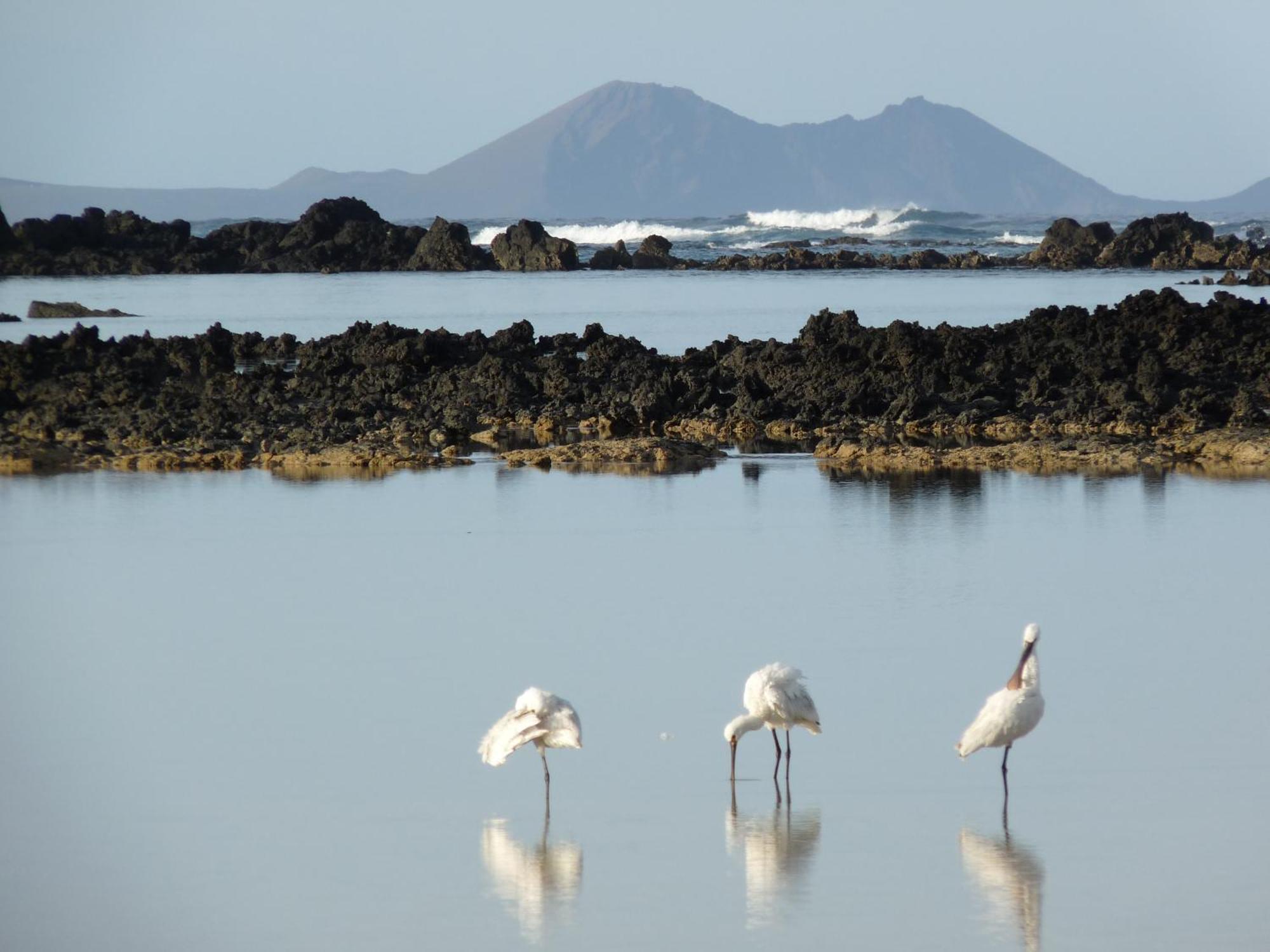 Casa Ana Y El Mar - Para Enamorados Del Mar - Lanzarote テギセ エクステリア 写真